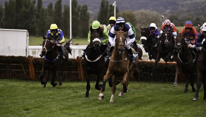 David Williams delighted at Cheltenham Festival return after “two of the longest years”