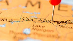 sportradar-and-media-troopers-receive-ontario-igaming-licences